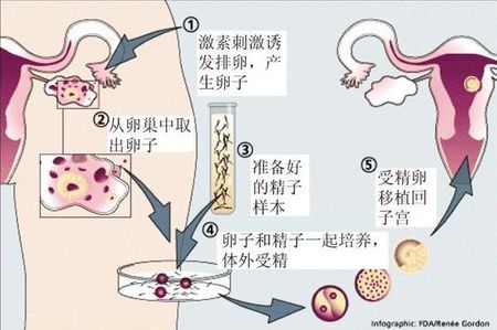 张蓝之主任